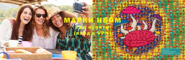 молекула духа Зеленодольск